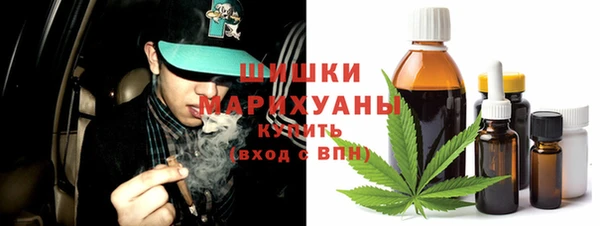 гашик Вязьма