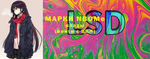 гашик Вязьма